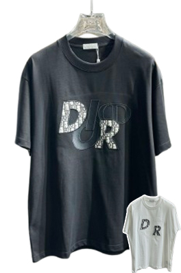 ディオールプレミアム ロゴ コレクション半袖Tシャツ