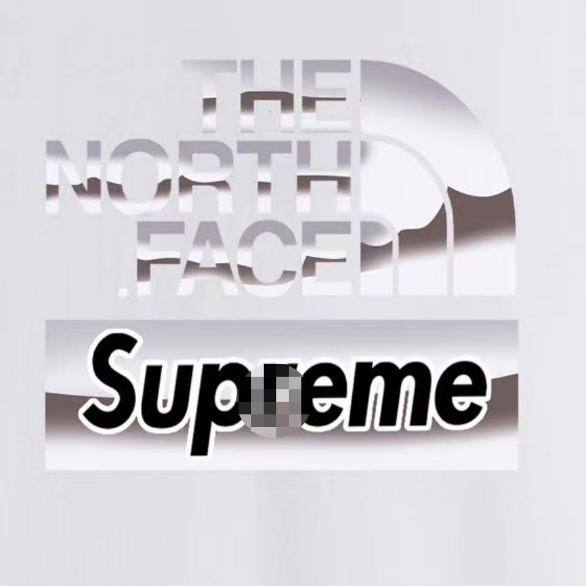 シュプリーム×ノースフェイスメンズ レディース 半袖Tシャツ