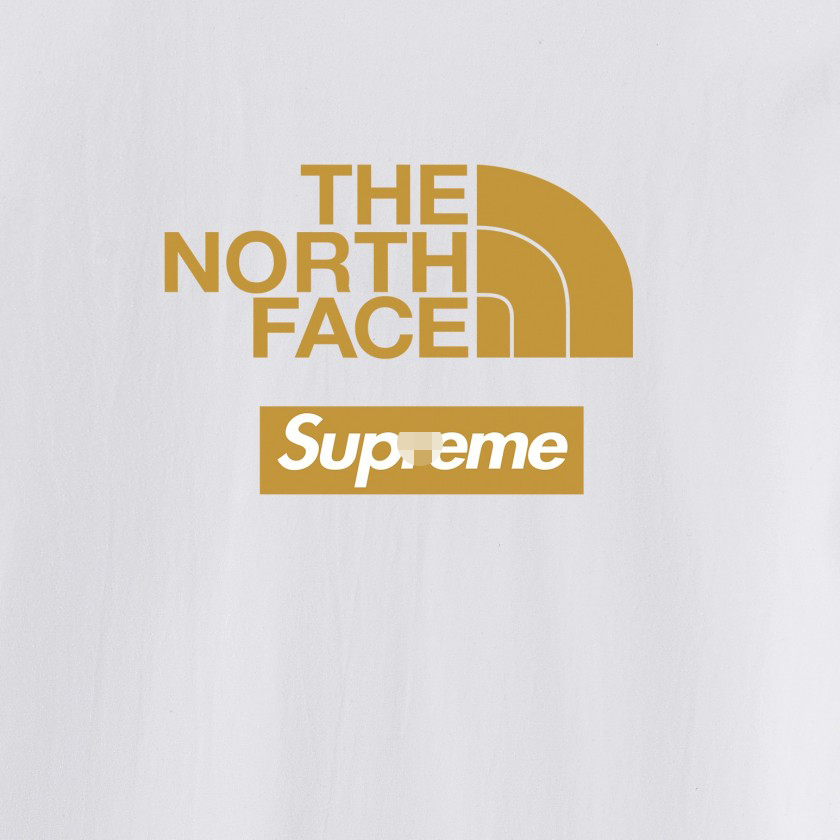 シュプリーム×ノースフェイスメンズ レディース 半袖Tシャツ