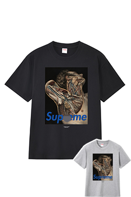 シュプリームメンズ レディース 半袖Tシャツ