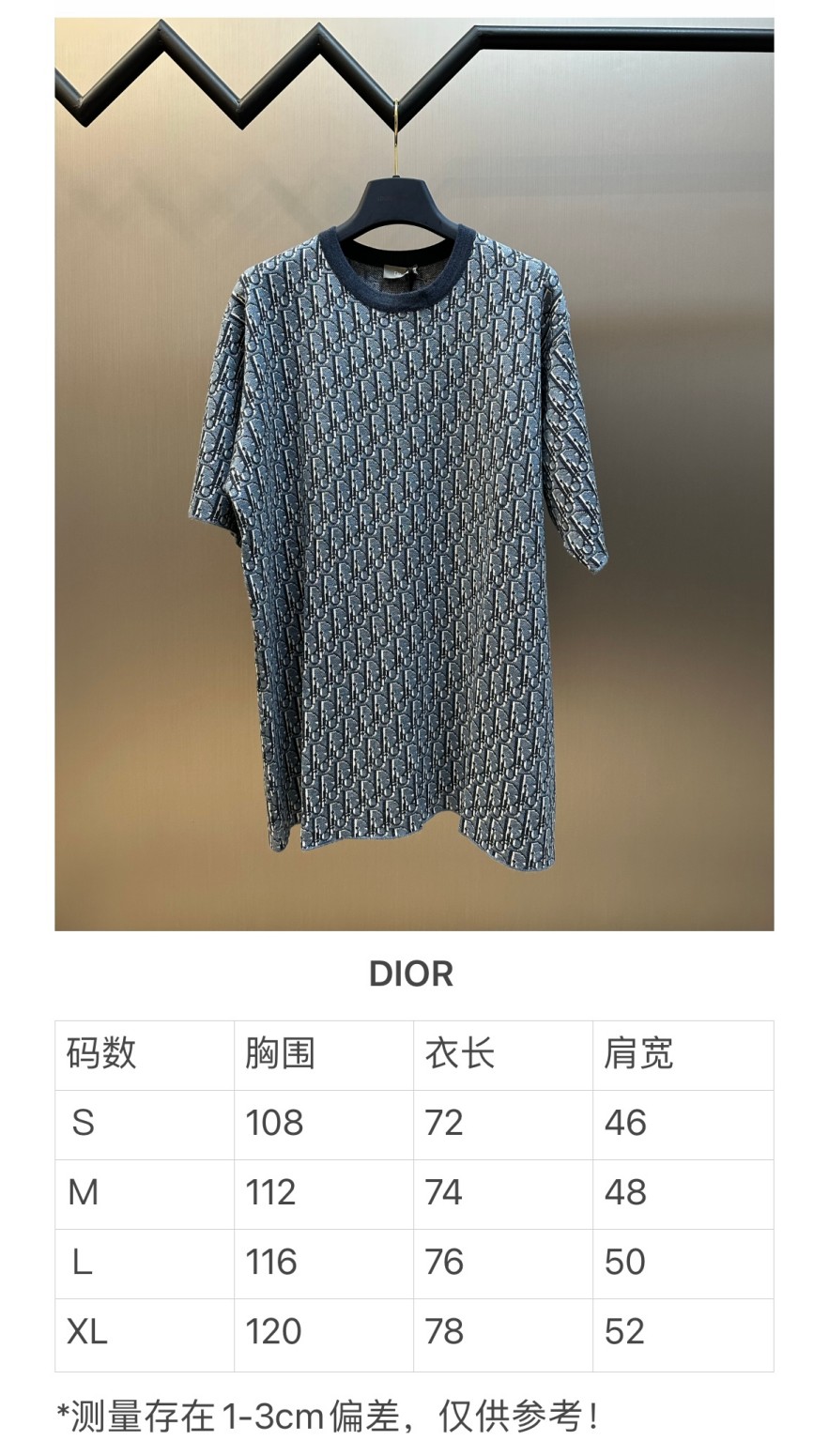 ディオールメンズ レディース　ニット 半袖Tシャツ