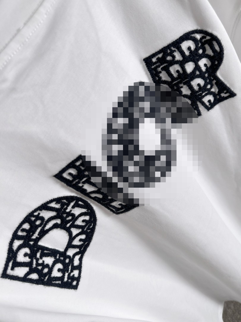 ディオールメンズ レディース 半袖Tシャツ